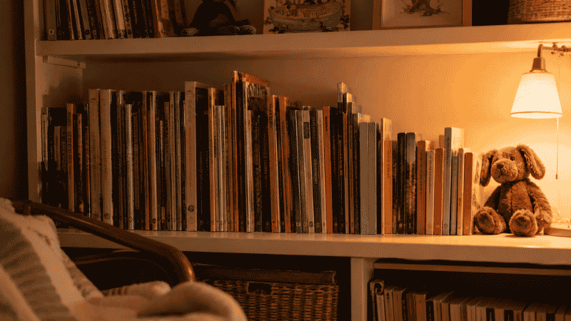 A curated collection of classic children's books spanning all ages arranged on a warm wooden bookshelf in a cozy family home