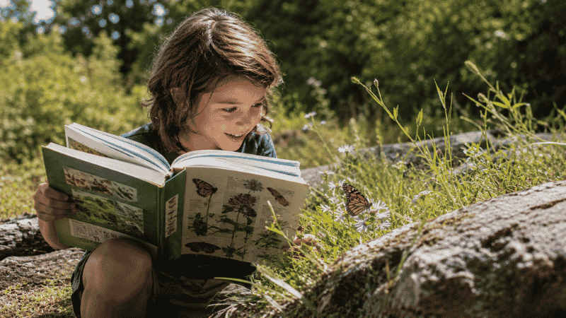 A child sitting outdoors with a nature field guide book open, comparing what they see in real life to the illustrations in the book
